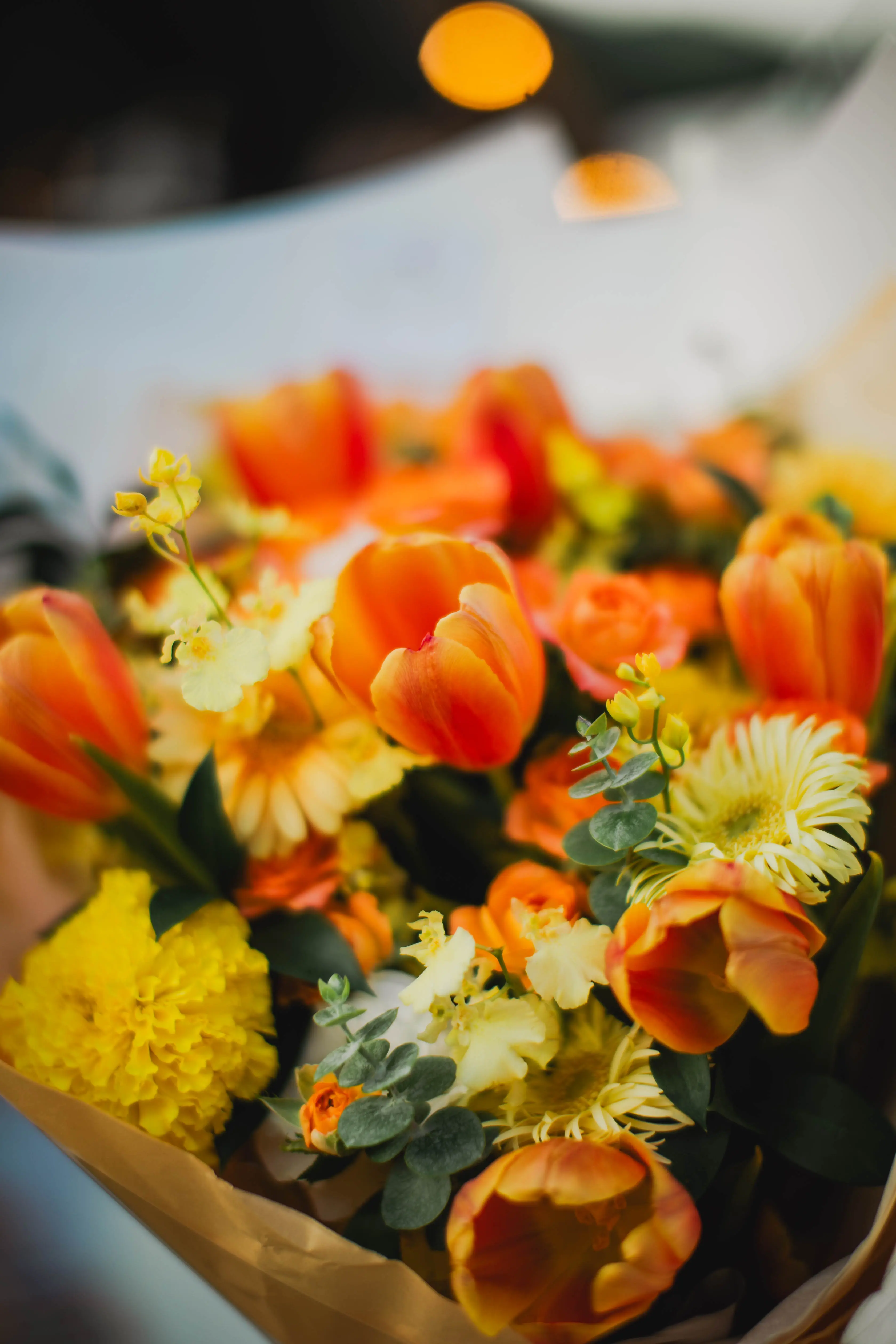 Mg 6782