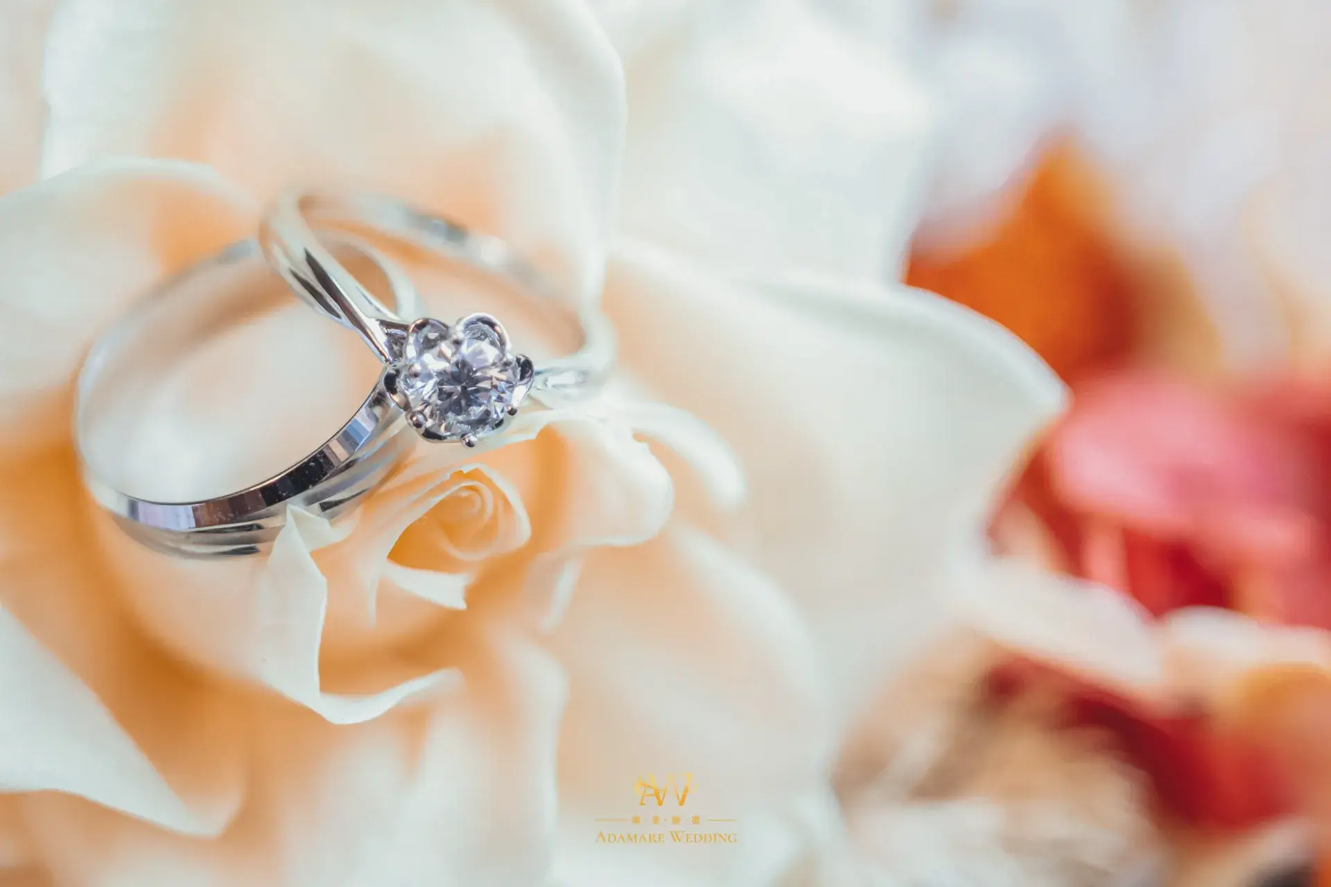 Wedding 169