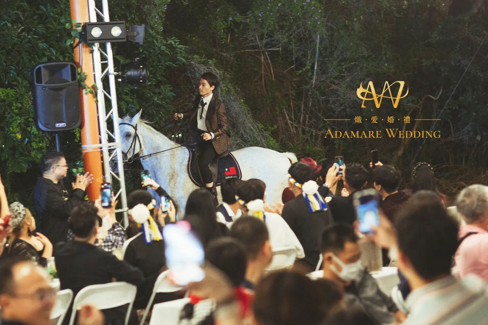 Wedding 323