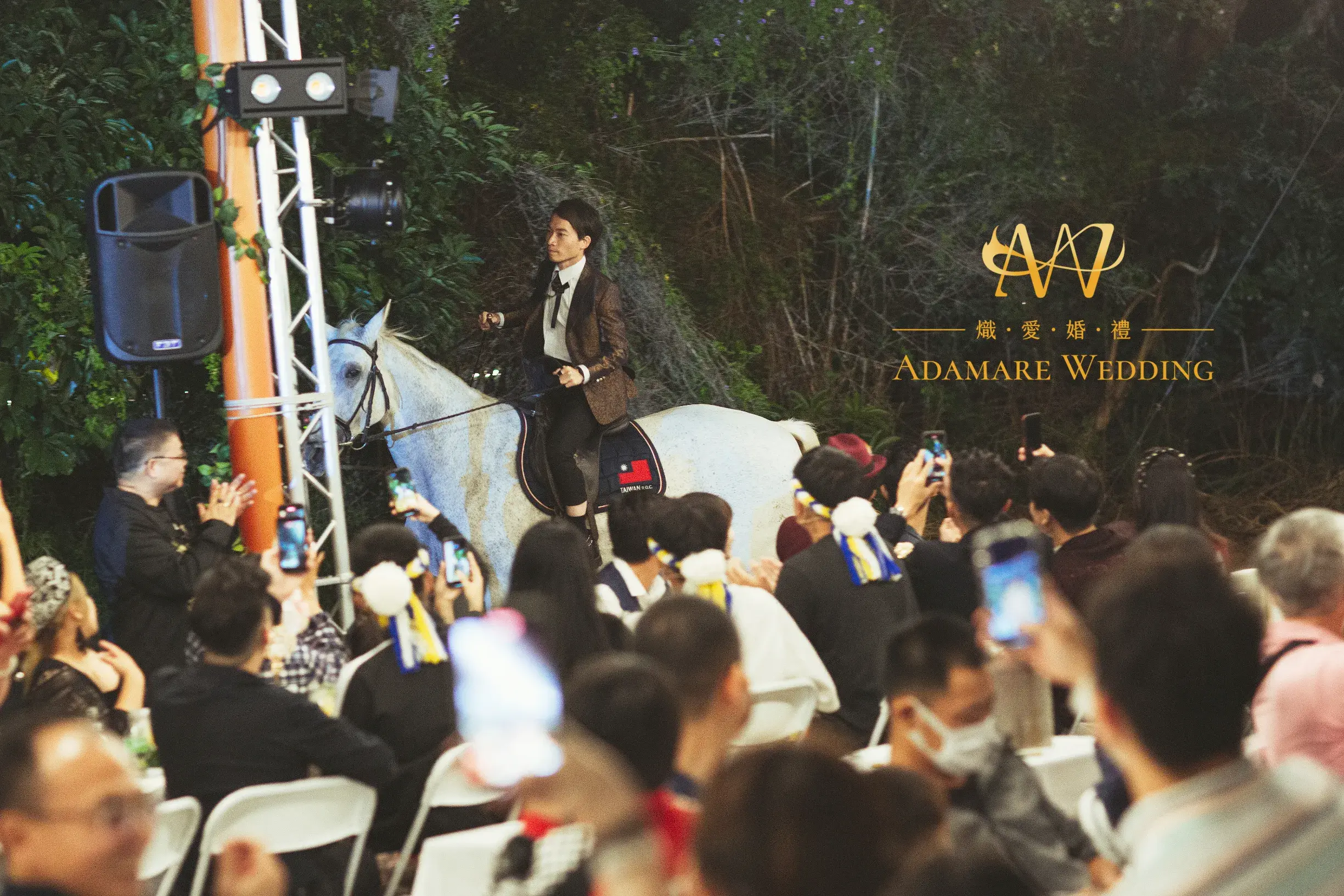 Wedding 323